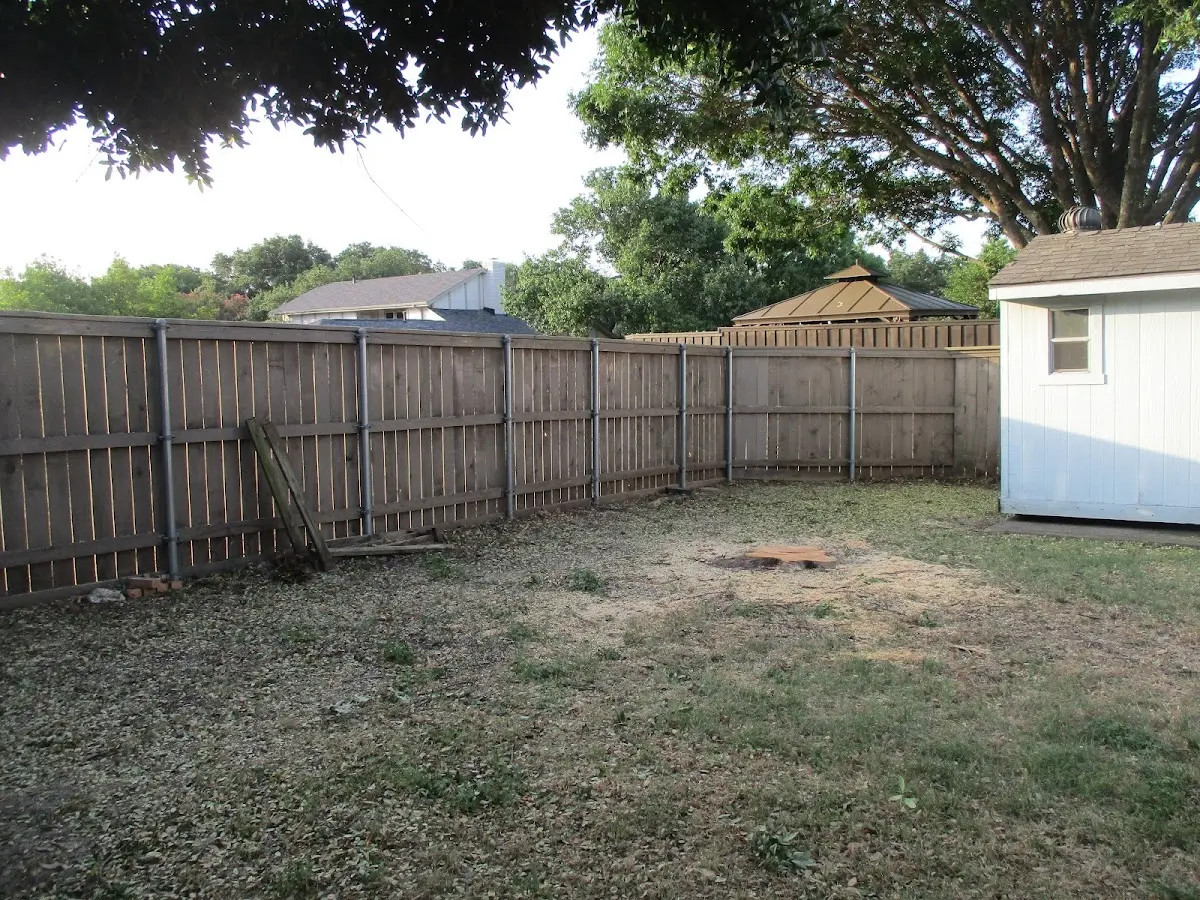 Cleared yard after professional tree removal in Westview
