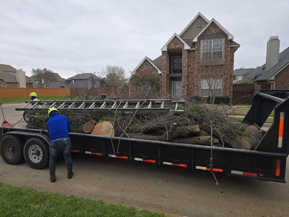 Expert Tree Fertilization with proper safety equipment in Westview